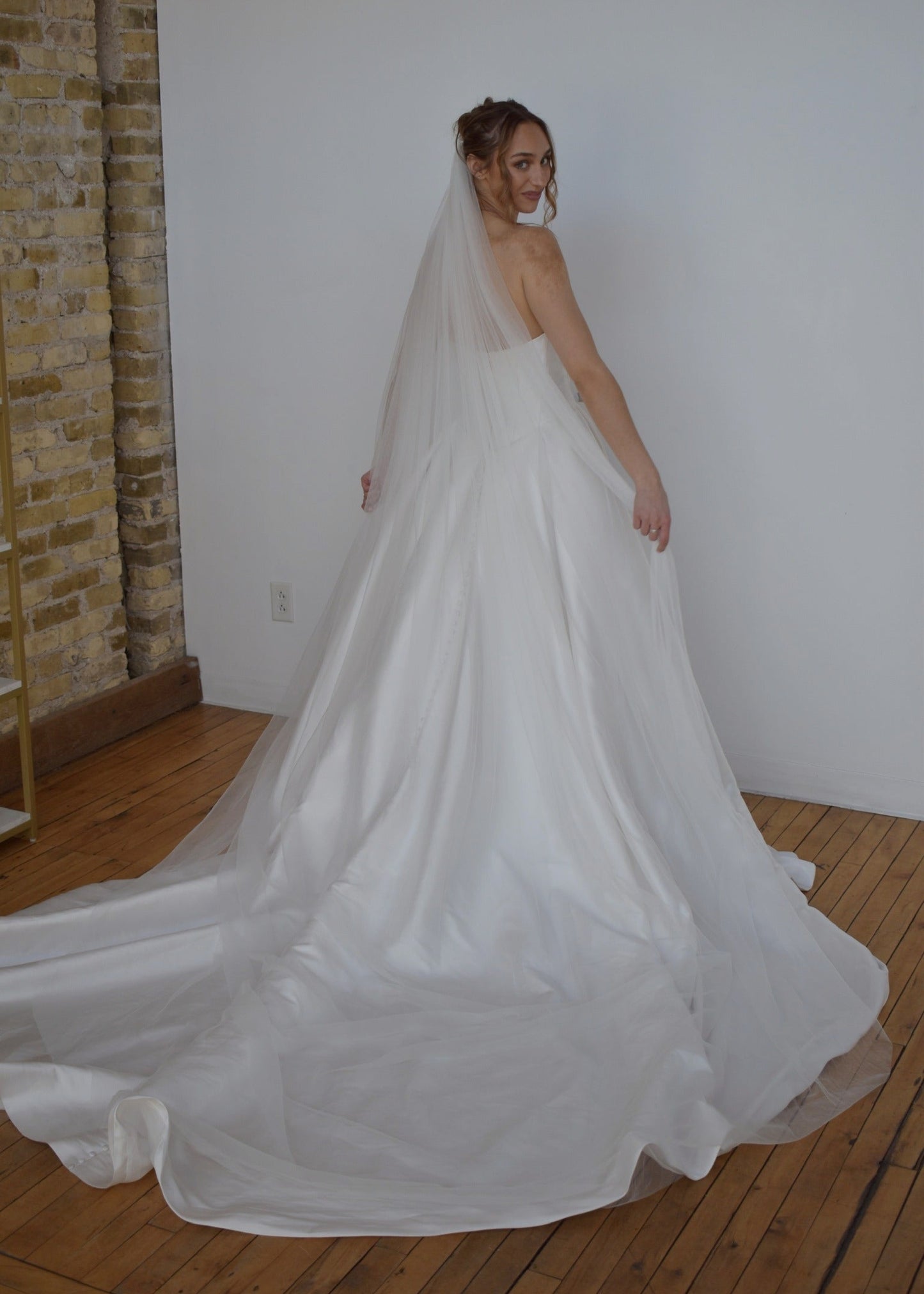 cathedral length tulle veil on a-line wedding dress