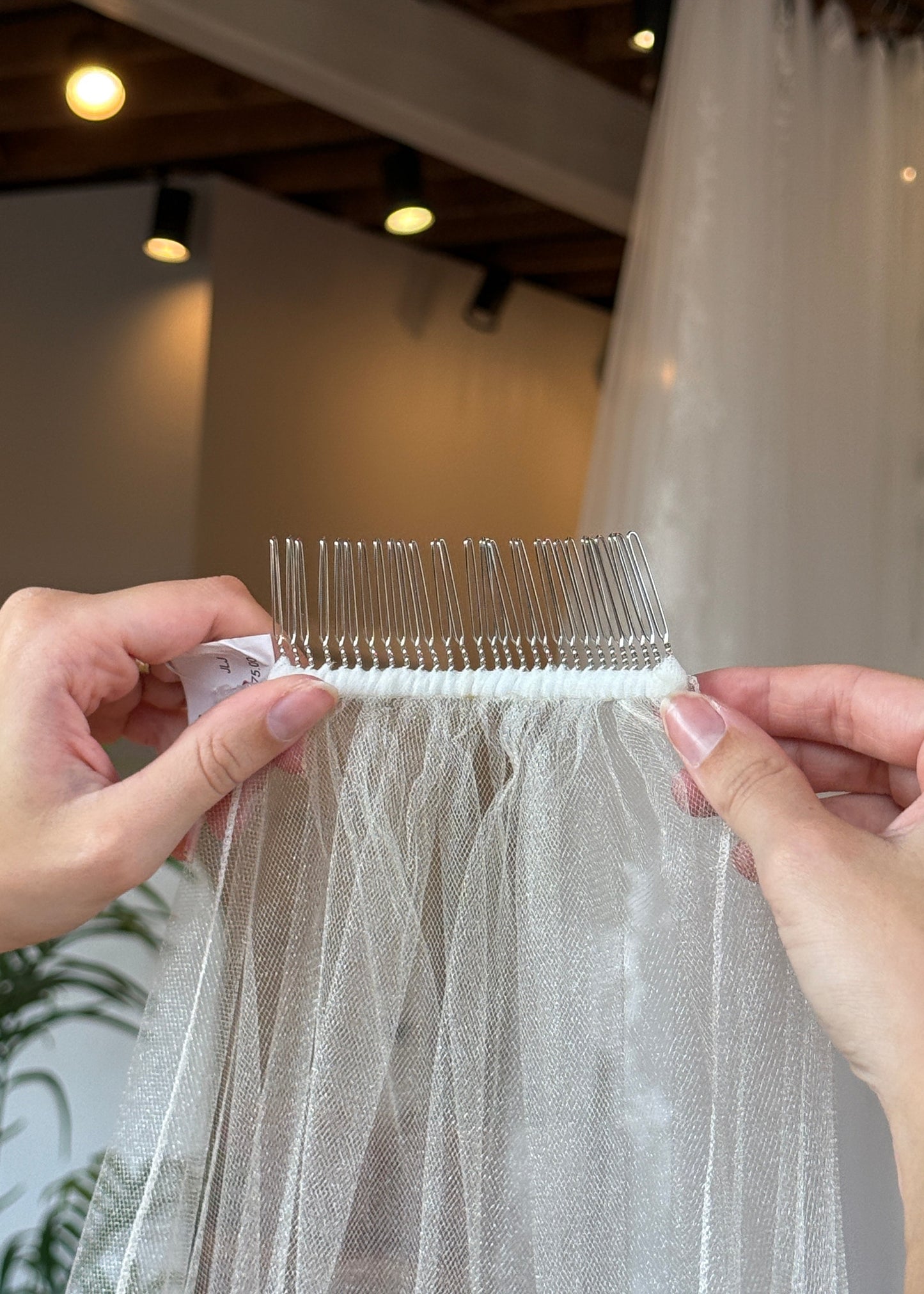 Vera Veil